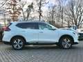Nissan X-Trail 1.3 DIG-T TEMP Tekna 7 Sitze Panorama Weiß - thumbnail 9