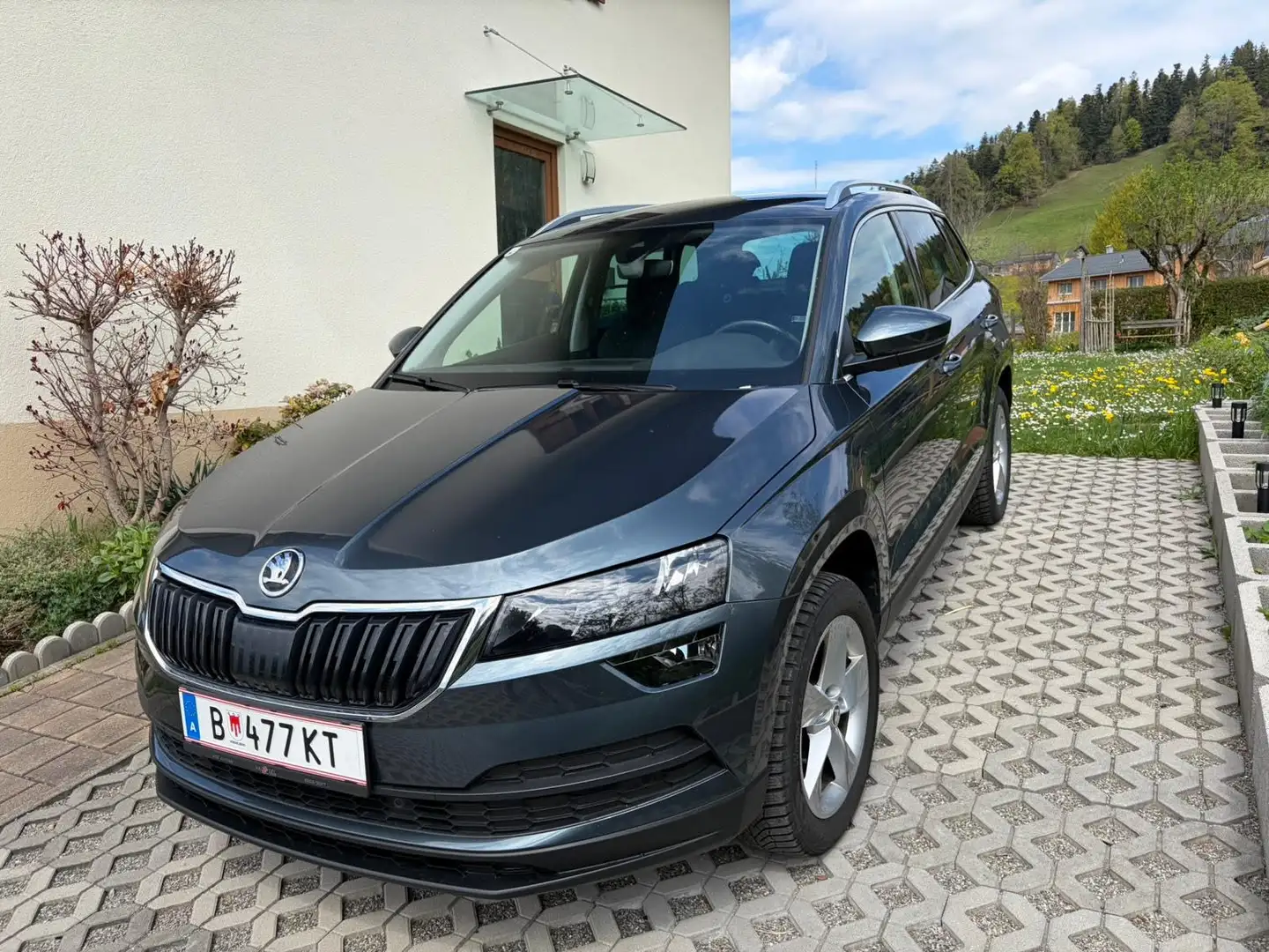 Skoda Karoq Karoq 2,0 TDI SCR 4x4 Ambition Ambition Grau - 1