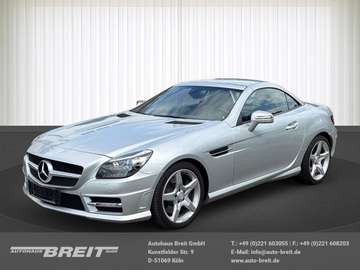 Roadster BlueEFFICIENCY Automatik Leder