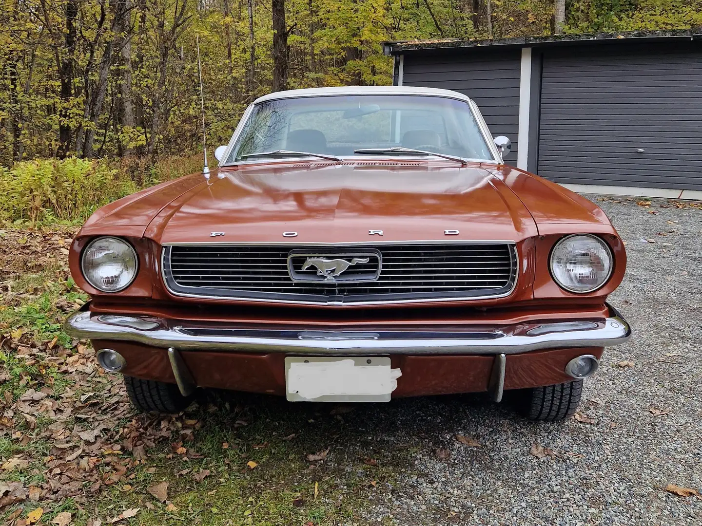 Ford Mustang 289ci V8, Vollausstattung, Westcoast Car, Nice! Rot - 2
