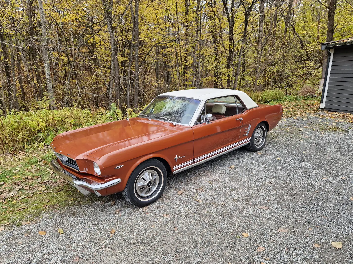Ford Mustang 289ci V8, Vollausstattung, Westcoast Car, Nice! Rot - 1