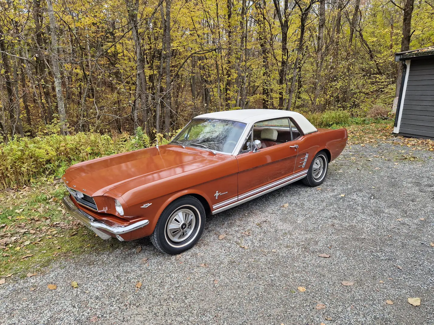 Ford Mustang 289ci V8, Vollausstattung, Westcoast Car, Nice! Roşu - 1