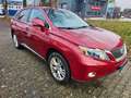Lexus RX 450h H Xenon Leder Navi Kamera Rot - thumbnail 6