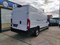 Fiat Ducato 2.3Multijet/Euro6/L4H2/4035mm/Navi/Cam/CC/23884Ex Weiß - thumbnail 3