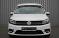 Volkswagen Caddy PKW  2.0 TDI Trendline AHK/Gepflegt/Klima Blanc - thumbnail 2