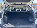 Kia Sportage Silber+ 1,6 CRDI Allrad DCT Diesel Weiß - thumbnail 15