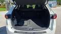 Mazda CX-5 CX-5 CD184 AWD Homura Aut. Weiß - thumbnail 13