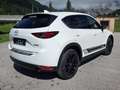 Mazda CX-5 CX-5 CD184 AWD Homura Aut. Weiß - thumbnail 7