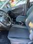 Ford Fiesta 5p 1.2 Black&White 82cv - thumbnail 7