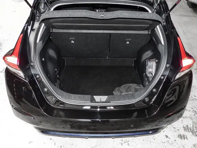 Nissan Leaf view 18