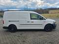 Volkswagen Caddy Maxi EcoProfi LKW/KLIMA/SITZHEIZUNG/AHK Weiß - thumbnail 4