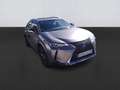 Lexus UX 250h Business 2WD Gris - thumbnail 3