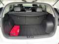 Kia Niro 1.6 GDi Hybrid Style Edition | Pcam | Pdc Blanc - thumbnail 8