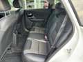 Kia Niro 1.6 GDi Hybrid Style Edition | Pcam | Pdc Blanc - thumbnail 6