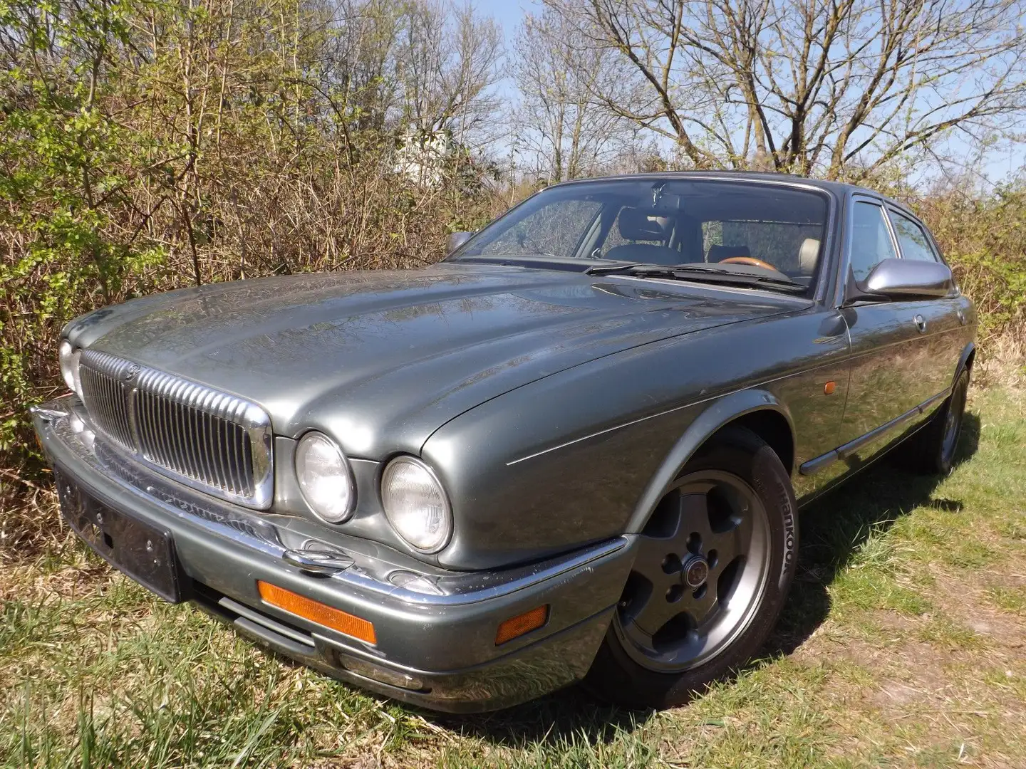 Jaguar Daimler Eight  X300 perfekt, edel und schön! Verde - 1