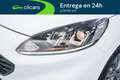 Ford Kuga 2.5 Duratec FHEV ST-Line 4x2 Aut. Blanco - thumbnail 10