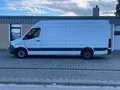 Mercedes-Benz Sprinter III Kasten RWD/AWD 311/314/316 CDI RWD Weiß - thumbnail 7