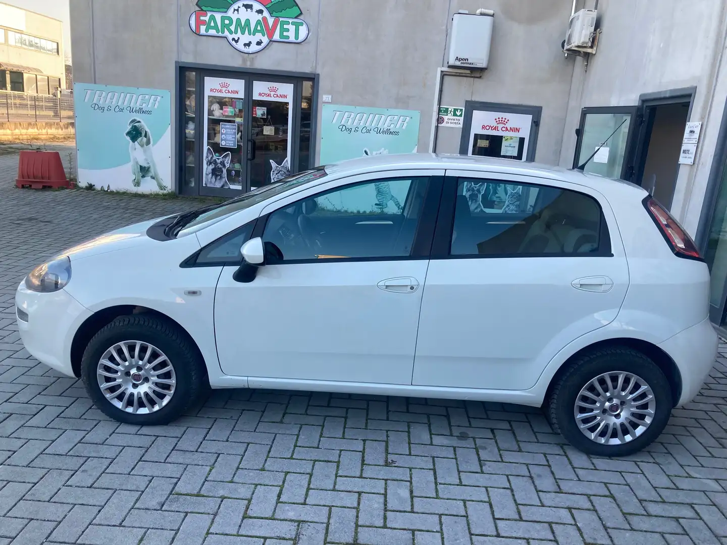 Fiat Punto Pop 5p 1.4 natural power 77cv "X Neopatentati" Blanc - 2