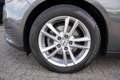 Ford Focus 100PS 1.0L | Cool & Sound-Paket Gris - thumbnail 14