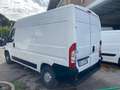 Fiat DUCATO LASTR.17Q L PM H2 2.3 EURO5 Blanc - thumbnail 13
