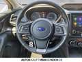 Subaru XV 2.0ie Platinum NAV LED ACC SHZ LHZ STHZ RFK Grau - thumbnail 9