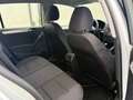 Volkswagen Golf Golf Rabbit 2012 BMT 1,6 TDI DPF DSG      **PARTIKELFILTER VERSTOPFT**GEWERBE**EXPORT**B2B** Silber - thumbnail 16