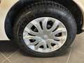 Renault Clio CLIO 1.5 DCI NEOPATENTATI 75cv PRONTA CONSEGNA Beige - thumbnail 20
