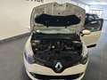 Renault Clio CLIO 1.5 DCI NEOPATENTATI 75cv PRONTA CONSEGNA Beige - thumbnail 19