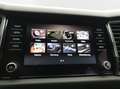 Skoda Kodiaq 2.0 TDI 4x4 STYLE LED PDC STDHZG AHK LM18 Grau - thumbnail 13