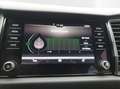 Skoda Kodiaq 2.0 TDI 4x4 STYLE LED PDC STDHZG AHK LM18 Grau - thumbnail 14