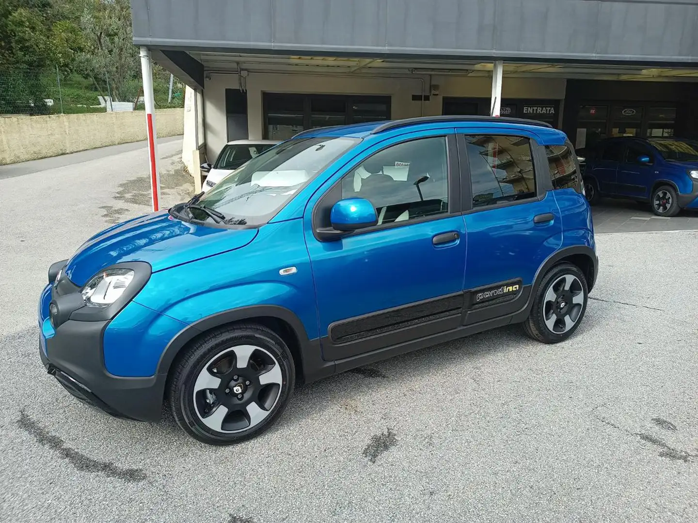 Fiat Panda 1.0 Hybrid Pandina INCENTIVI EURO 0-1-2-3-4-5 Blauw - 1