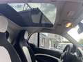 smart forTwo fortwo coupe Basis 66kW Aut. Panorama SH Zwart - thumbnail 7
