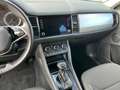 Skoda Kodiaq Kodiaq 2.0 TDI EVO SCR DSG Executive Gris - thumbnail 13