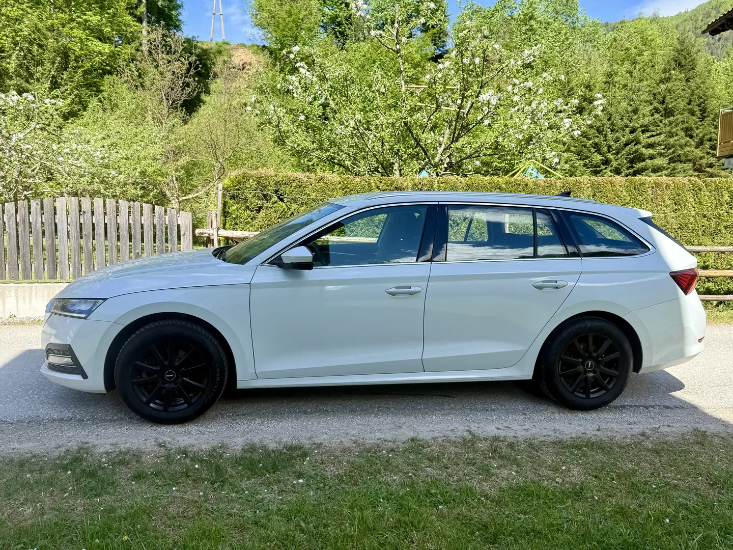 Skoda Octavia Style 4x4 AHK MFL Sitzhzg. PDC Kamera Weiß - 2
