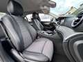 Mercedes-Benz E 300 *AVANTGARDE*NAVI*KAMERA*COMAND* Gris - thumbnail 9