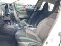 Nissan Juke Acenta 1.0 DIG-T 6MT Komfort Paket Blanc - thumbnail 21