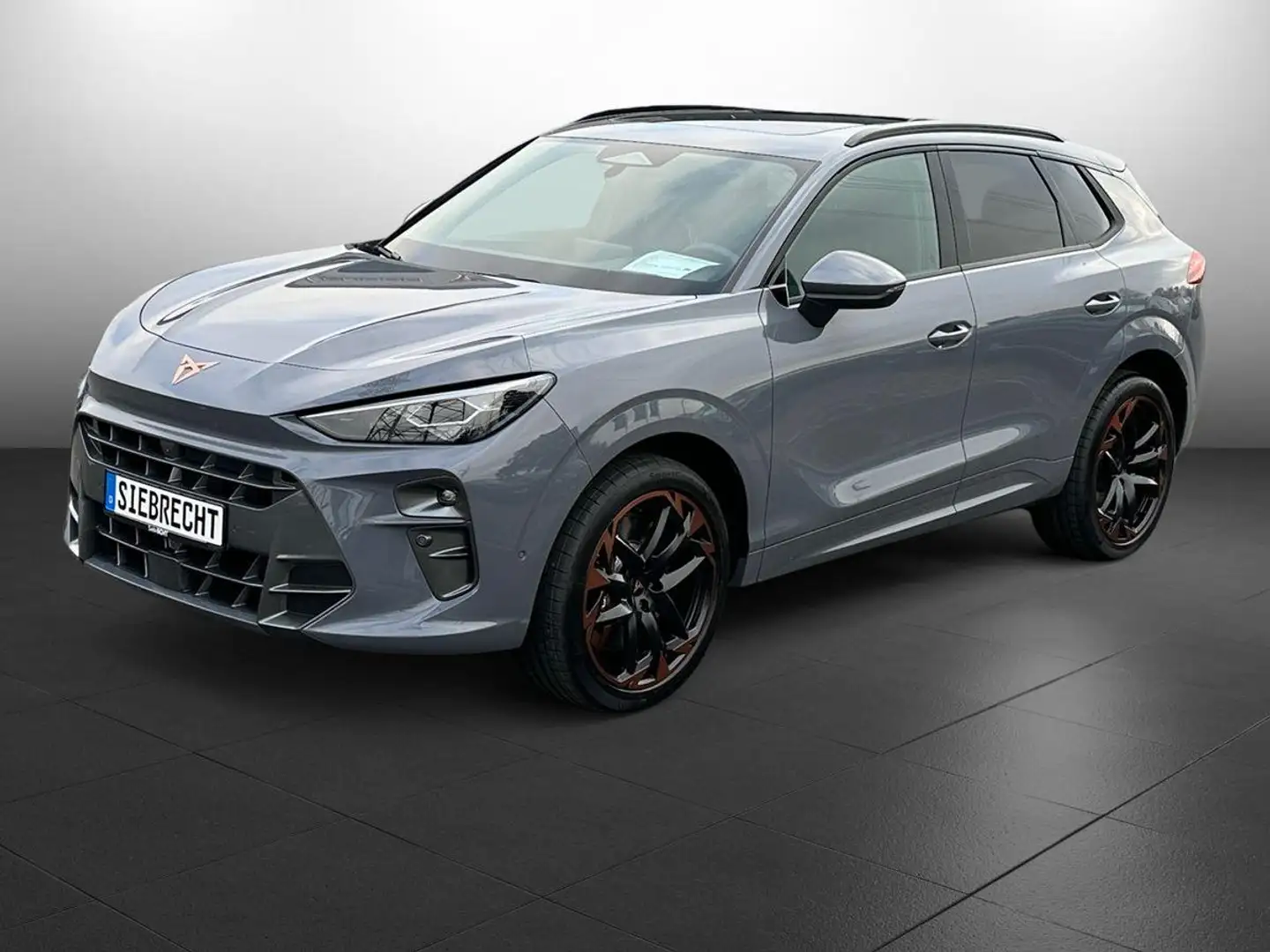 CUPRA Terramar 2.0 TSI 195 kW 4Drive VZ 2.0 16V TSI Grau - 1
