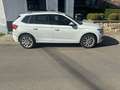 Skoda Kamiq Kamiq 1.0 TSI Ambition Blanc - thumbnail 3