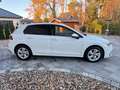 Volkswagen Golf VIII 1,5 TSI Life , ACC , LED , erst 29 TKM Blanco - thumbnail 6