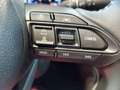Toyota Yaris Cross 1.5 Hybrid 130 CV 5p AWD Premiere Verde - thumbnail 13