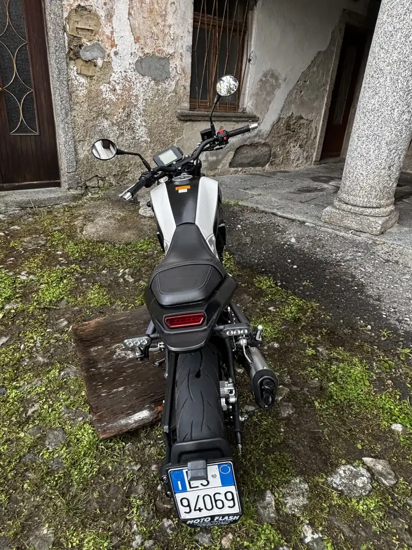 Benelli Leoncino - 2