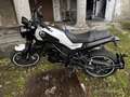 Benelli Leoncino - thumbnail 3
