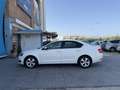 Skoda Octavia 1.6TDI CR Ambition Blanc - thumbnail 26