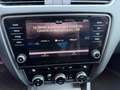 Skoda Octavia 1.6TDI CR Ambition Blanc - thumbnail 20