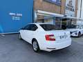 Skoda Octavia 1.6TDI CR Ambition Blanc - thumbnail 25