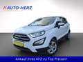Ford EcoSport *Klima+PDC+Navi+SITZ&LENKRADHEIZUNG* Alb - thumbnail 5
