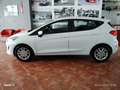 Ford Fiesta Fiesta 1.5 EcoBlue 5 porte Business Blanc - thumbnail 2