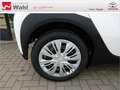 Toyota Aygo X 1.0 Business Edition Blanc - thumbnail 17