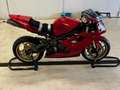 Triumph Daytona 675 Czerwony - thumbnail 5