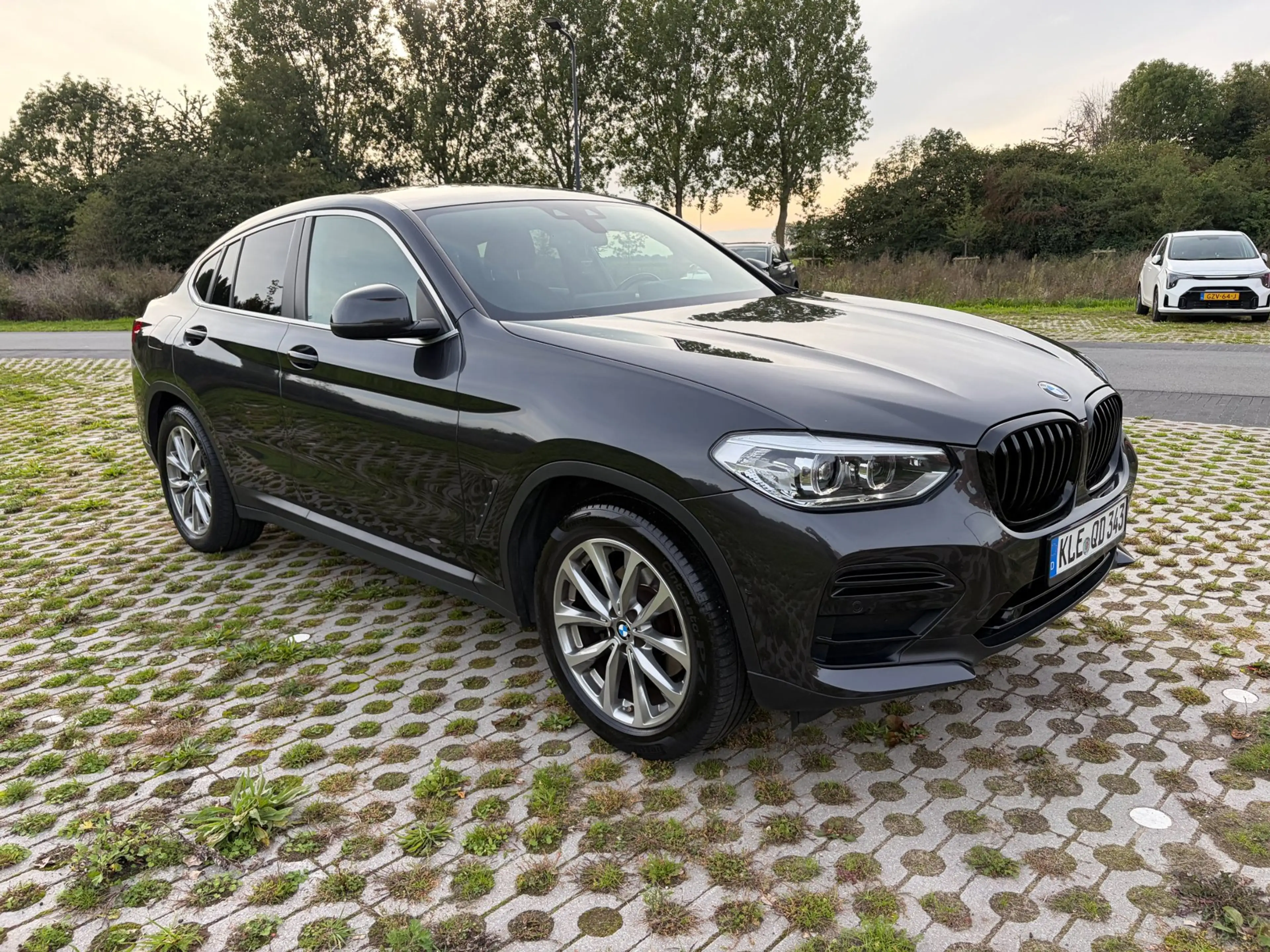 BMW X4 XDrive20i Executive Led TrekH Top Staat — photo 10